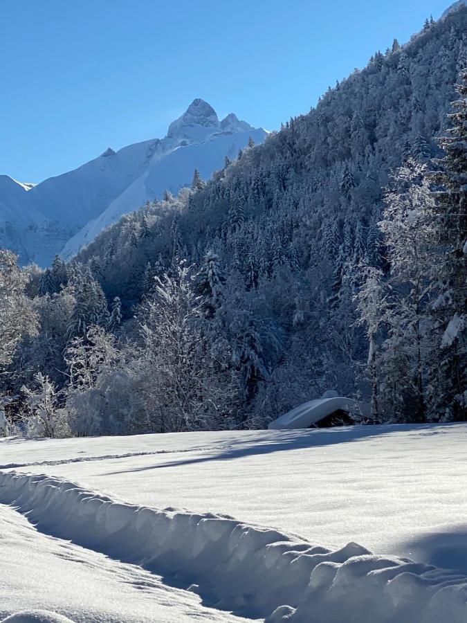 Landhaus Am Plattenbichl - Luxus Apartment mit Privat-Pool und Sauna Oberstdorf Exterior foto