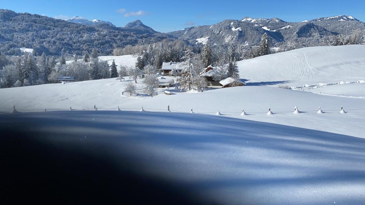 Landhaus Am Plattenbichl - Luxus Apartment mit Privat-Pool und Sauna Oberstdorf Exterior foto